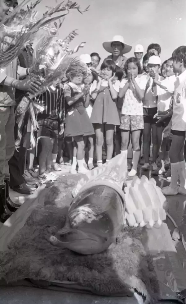 「【速報】長寿イルカ「オキちゃん」死ぬ　沖縄・海洋博から50年現役　夏頃から体調不良」の画像