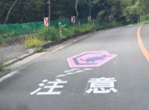 ［沖縄days］注意呼びかけるピンク色　沖縄・国頭村奥