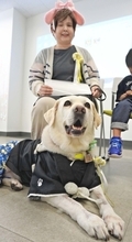 盲導犬トウハと8年「楽しい思い出ばかりだよ。ありがとう」　役目終え第二の“犬生”へ那覇市で引退式