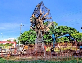 台風で倒れたガジュマル、十字路から公園へ　再植樹目指し移植　沖縄市　作業9時間「樹勢の回復図る」