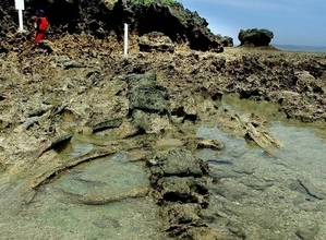 沖縄の無人島・岡波岩　帰属巡り2市が対立　1980年代から決着せず　糸満市議会が調停申し出可決　豊見城市議会も主張決議