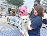「「悪いのは野良猫や野良犬ではなく、私たち人間」　ペット遺棄が増える大型連休前に　沖縄県が捨て犬猫防止・適正飼育を呼びかけ」の画像1