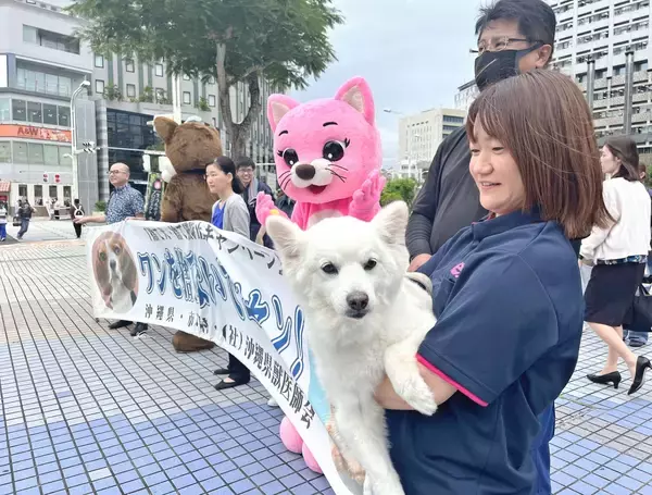 「「悪いのは野良猫や野良犬ではなく、私たち人間」　ペット遺棄が増える大型連休前に　沖縄県が捨て犬猫防止・適正飼育を呼びかけ」の画像