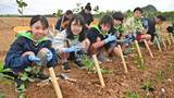 「島の環境保全に貢献！「防風林の日」に500本植樹　児童ら120人が参加　沖縄・伊江村」の画像1