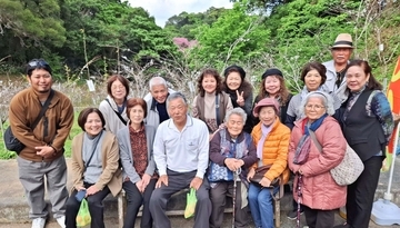 「純白でかわいい」クメノサクラ　沖縄・本部町の祭りにぎわう　3月31日まで