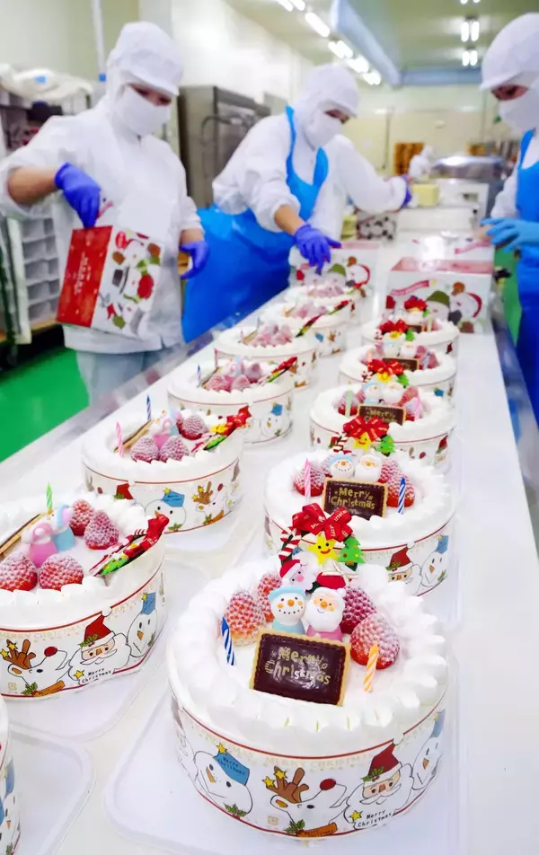 「パーティーサイズが人気。もう売り切れ」　クリスマスイブ前　応援も来てケーキ作りピーク　沖縄