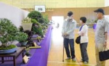 「唯一無二。同じものが無いのが魅力」　全沖縄盆栽展　うるま市で5月19日まで