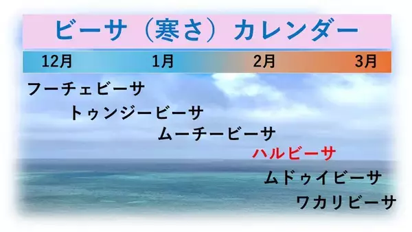 「「沖縄に冬はあるの？」 この時期の寒さは“ハルビーサ”　ただし3月にかけ“夏日”続出か」の画像