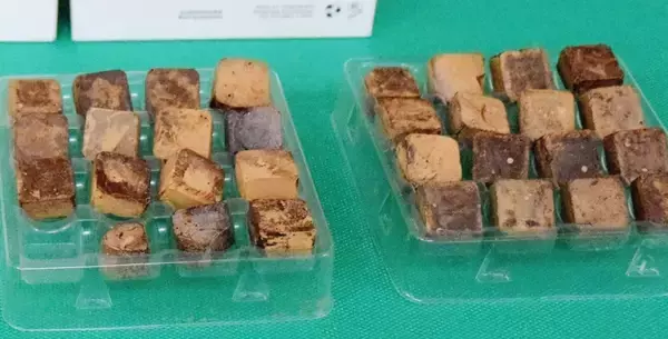 チョコレート装い麻薬輸入疑い　39歳の男逮捕　沖縄【動画あり】