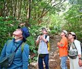 「森の香りでリフレッシュ！　与那覇岳で森林浴の体験イベント　長野の団体と国頭村森林セラピー協会が共催」の画像1