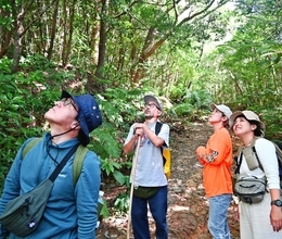 森の香りでリフレッシュ！　与那覇岳で森林浴の体験イベント　長野の団体と国頭村森林セラピー協会が共催