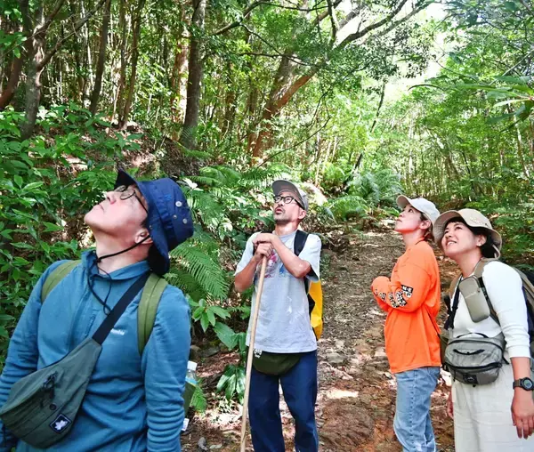 森の香りでリフレッシュ！　与那覇岳で森林浴の体験イベント　長野の団体と国頭村森林セラピー協会が共催