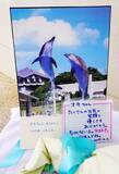 「「死んでも泣かないのがプロ」　それでも…家族より長く過ごした「オキちゃん」　飼育員、涙声で旅立ちを伝える」の画像1