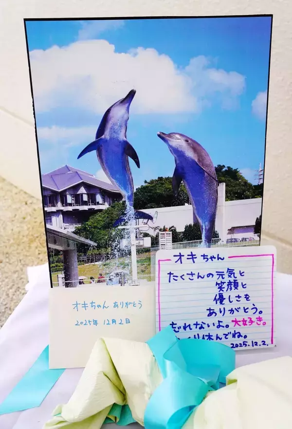 「死んでも泣かないのがプロ」　それでも…家族より長く過ごした「オキちゃん」　飼育員、涙声で旅立ちを伝える