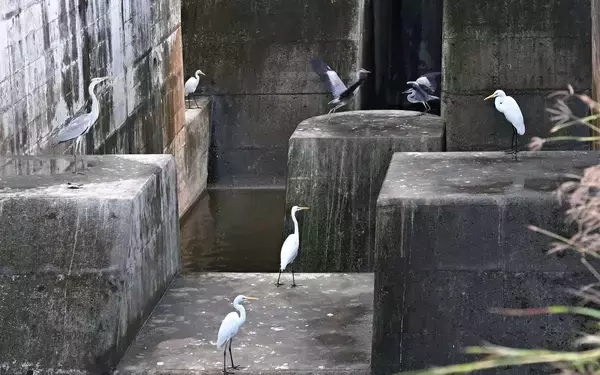 ［沖縄days］用水路の一角に集会所　那覇市繁多川