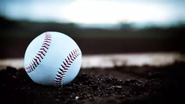 エナジック初戦が20日に順延　高校野球の春季九州大会　沖尚は21日に