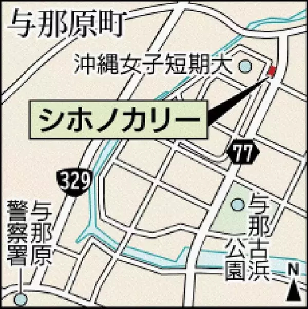 「自分でおいしいと思ったものが正解　次男の言葉で転機　「ギルトフリー」で仕上げるカレー　沖縄・与那原町のシホノカリー」の画像