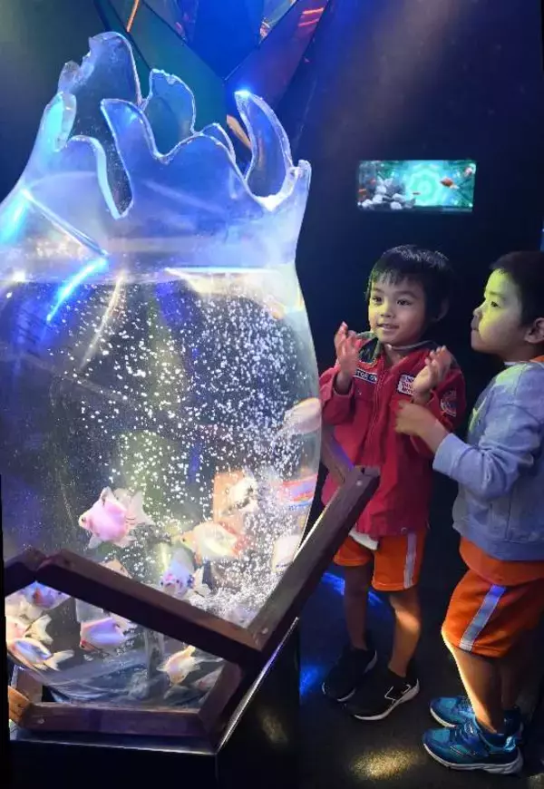 水槽と空間で冬景色を表現　「金魚ミュージアム」期間限定の企画展　幻想的な雰囲気に園児ら「楽しかった！」