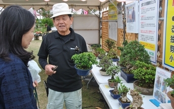 冬彩る植物に熱視線　赤い実が美しい「ピラカンサ」なども並ぶ　沖縄市でグリーンフェスタ、12月14日まで