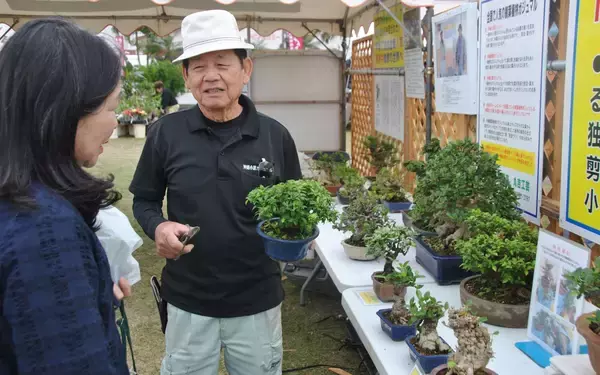 冬彩る植物に熱視線　赤い実が美しい「ピラカンサ」なども並ぶ　沖縄市でグリーンフェスタ、12月14日まで