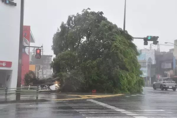 「台風シーズンに入る沖縄　曇りや雨が続く傾向　週末は熱帯低気圧の接近に警戒を」の画像
