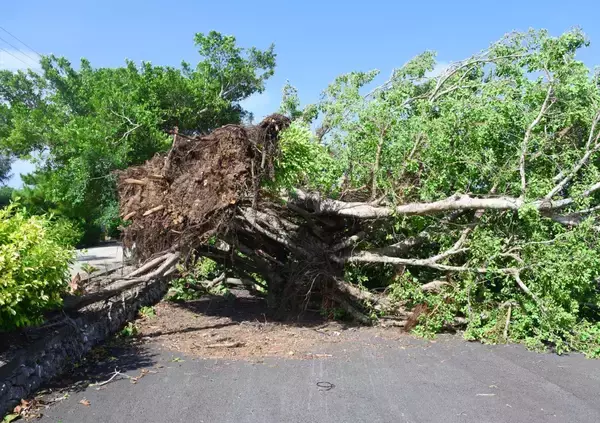 「真夏日から一転、冬の寒さへ？　沖縄を襲った大雨　寒気と暖気がせめぎ合い」の画像