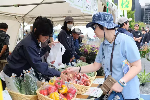 島野菜や畜産物の試食販売も　「おきなわ花と食のフェスティバル」が開幕　20、21日那覇市・奥武山公園