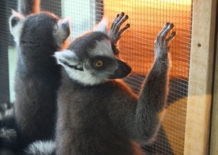 ”寒っ！”　国頭村の奥で6.2度　那覇空港など各地で2月の観測史上最低を更新