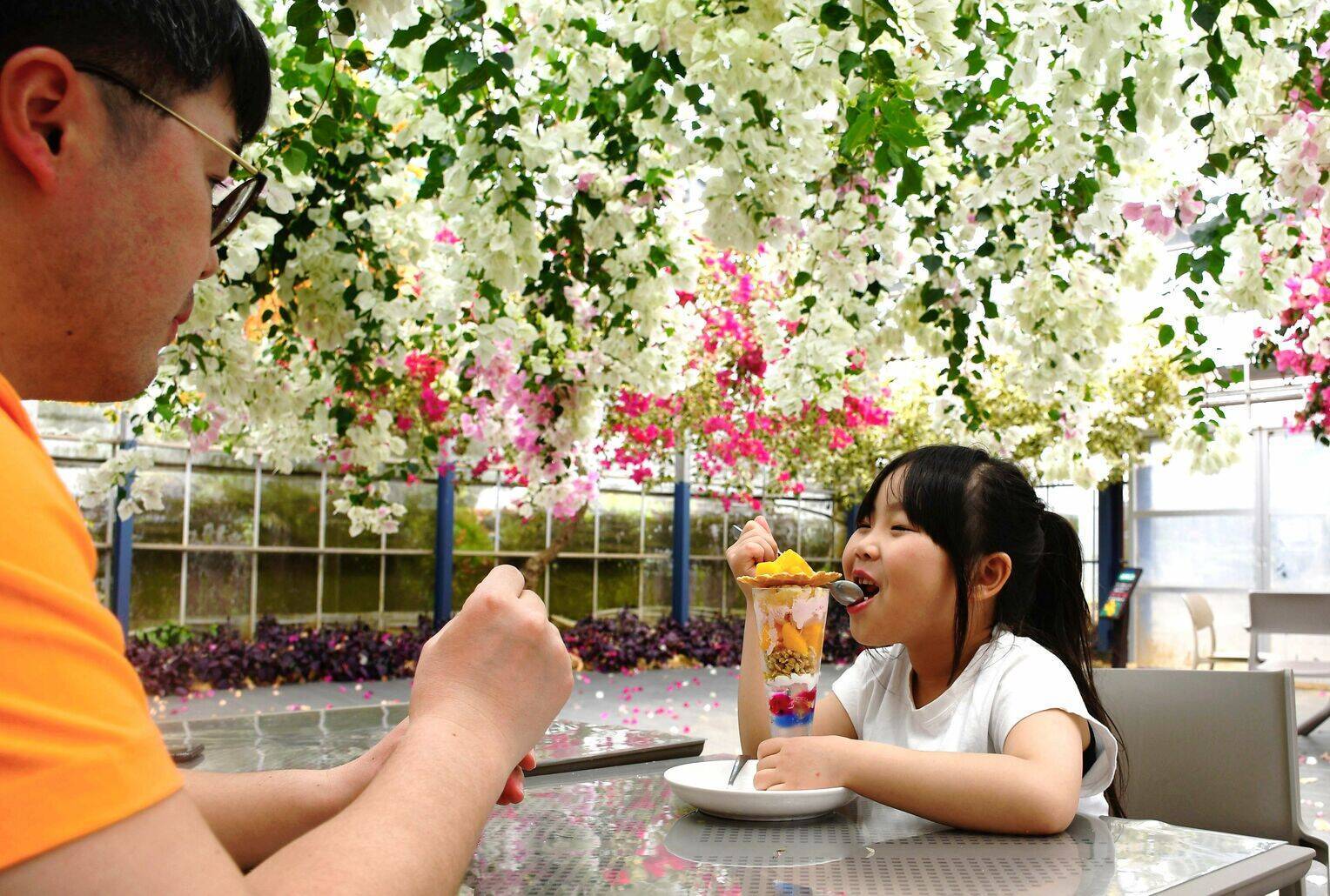 花に囲まれリラックス　カフェでスイーツも　沖縄・宮古島のユートピアファーム宮古島【ＧＷ⑧】