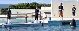 「沖縄美ら海水族館でイルカトレーナーに挑戦！　人気のご長寿「オキちゃん」と同年代の3人　「一生の思い出です」」の画像2