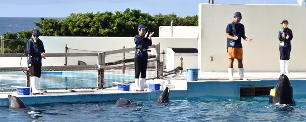 「沖縄美ら海水族館でイルカトレーナーに挑戦！　人気のご長寿「オキちゃん」と同年代の3人　「一生の思い出です」」の画像