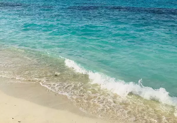 沖縄・恩納村のビーチに身元不明の遺体　60～70代の女性か　県警が情報求める【似顔絵】