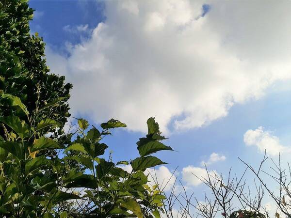 沖縄の天気 8月28日 晴れ所によりにわか雨 21年8月27日 エキサイトニュース