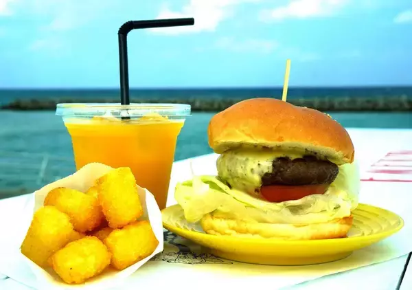 外サク、中フワのバンズ　食欲を誘うシークヮーサーを使ったソース　名古屋の人気バーガー店が沖縄北部に