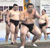 「蒸し暑い大相撲名古屋場所　宮古島合宿で「慣れる」　時津風部屋　パリ公演から正代や時疾風も合流」の画像1