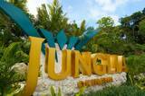 「ジャングリア沖縄、県民限定で中学生以下の入園無料に　12月1日スタート」の画像1