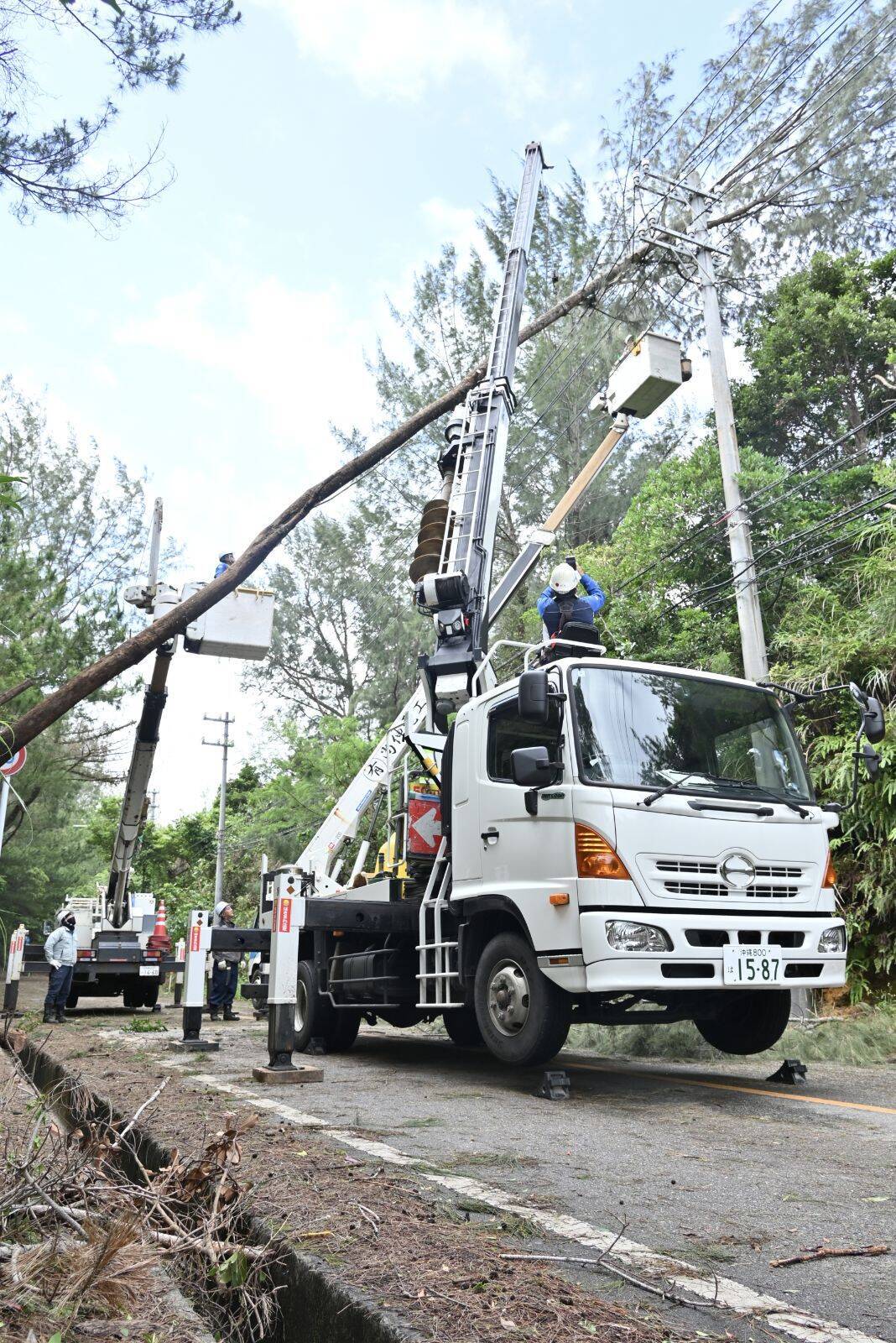【台風6号】恩納村　倒木で県道104号が約1.5キロの通行止め　村道利用した迂回呼びかけ