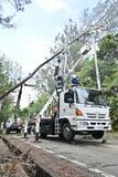 「【台風6号】恩納村　倒木で県道104号が約1.5キロの通行止め　村道利用した迂回呼びかけ」の画像2