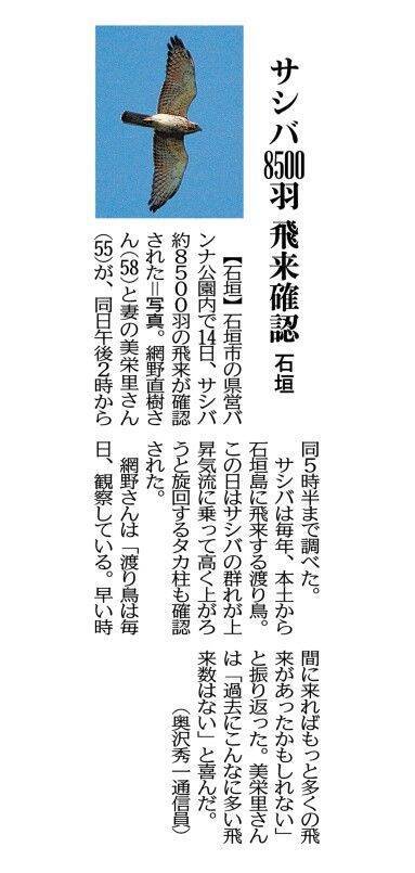 沖縄に秋の訪れ告げる「ミーニシ」、今年はいつ吹いた？　気象予報士・崎濱綾子さんがズバリ考察