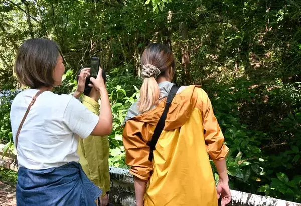 けが乗り越え森へ　リュウキュウヤマガメ「ゲンキくん」野生復帰　沖縄・大宜味村