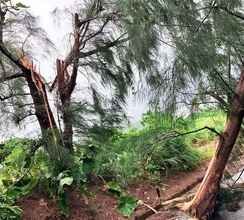 沖縄地方、各地で大雨　国頭村の比地川が増水で住民に緊張　石垣市、突風で車横転