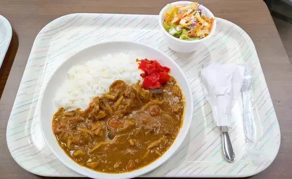 「沖縄・うるま市でも「海自カレー」　市内6店が提供、新たなご当地グルメに」の画像