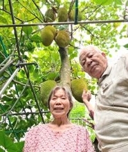 謎の木を植えて10年で結実　トゲトゲの実は世界最大の果物だった　「いつか食べたい」と切り抜いた新聞記事が決め手に