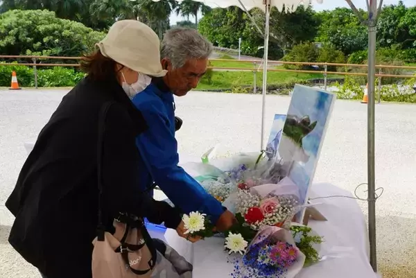 「「圧倒的アイドルだった」　イルカの「オキちゃん」悼みファン涙　沖縄・海洋博公園に献花台【写真複数】」の画像