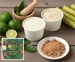 酸味と苦みのバランスがいい爽やか「よなぐにジェラート」　シークヮーサーを大事に育てた「蔵盛さんち」［ヒットのたまご］