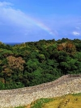 ［沖縄days］新春の虹に願い事　沖縄・今帰仁村今泊