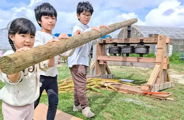 手作りサーターグルマをお披露目　糸満の自然体験施設で製作　沖縄・糸満市