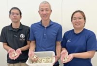 沖縄・石垣島の「島らっきょう」は小ぶりで生食向き　増産へ生産者らが会発足、ブランド化目指す