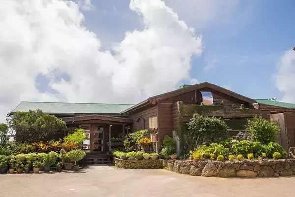 「もう食べられない“あの味”　写真でたどる、2025年にのれんを下ろした沖縄の老舗店」の画像