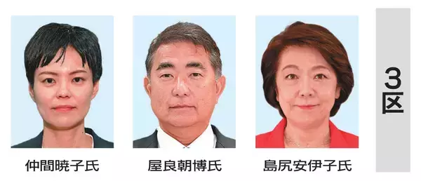 「【衆院選】沖縄16人が立候補表明　構図激変、2・4区で「辺野古反対」が競合」の画像